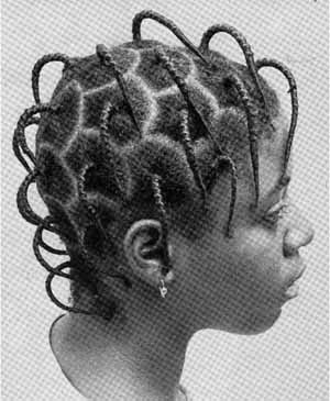 African Hairstyles pictures
